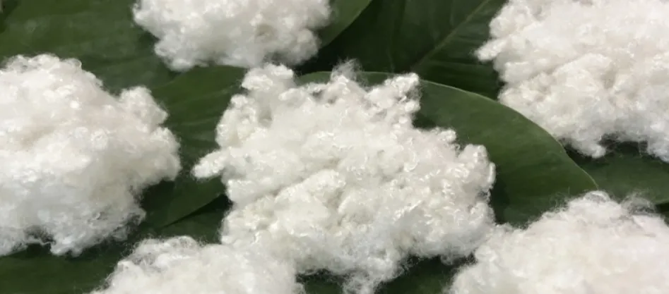 Er polyester en syntetisk fiber? Noget du skal vide